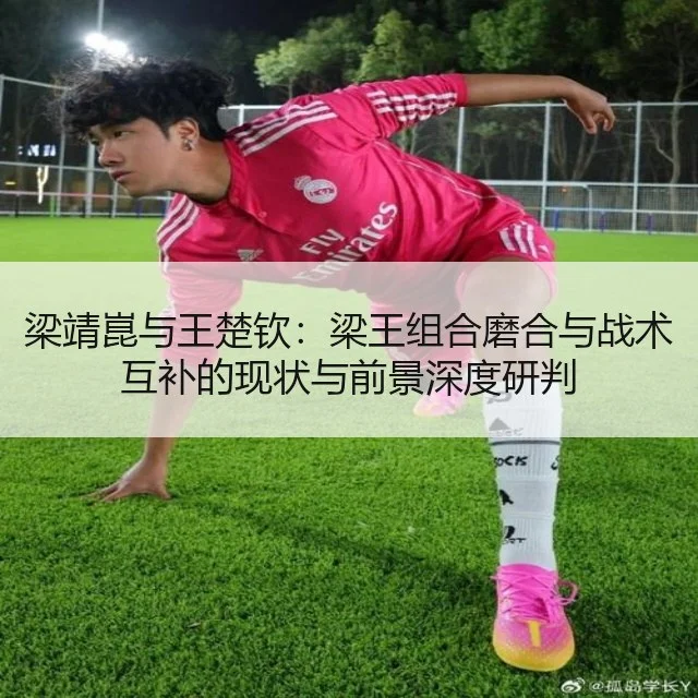 梁靖崑与王楚钦:梁王组合磨合与战术互补的现状与前景深度研判